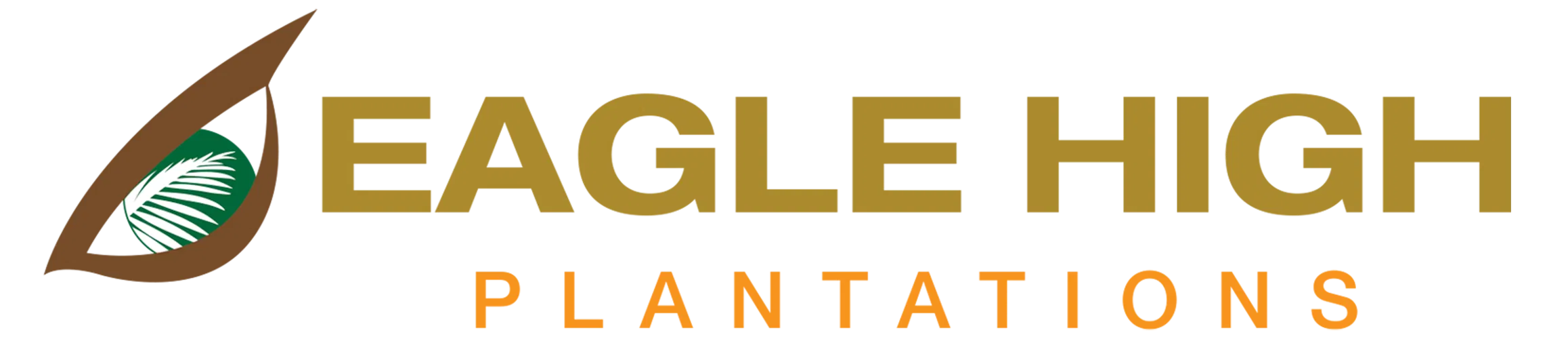 Rekomendasi Saham Hari Ini: Eagle High Plantations Tbk