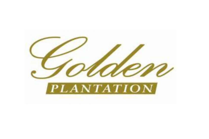 Rekomendasi Saham Hari Ini: PT Golden Plantation Tbk